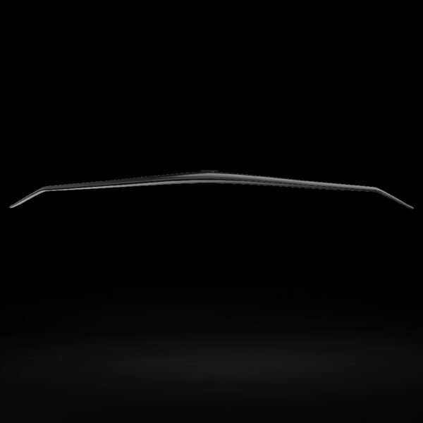 Gliding Wing - Image 3